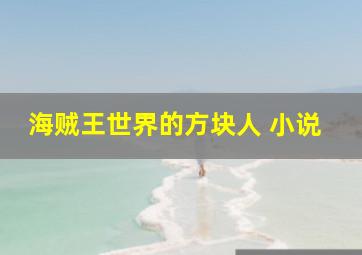 海贼王世界的方块人 小说